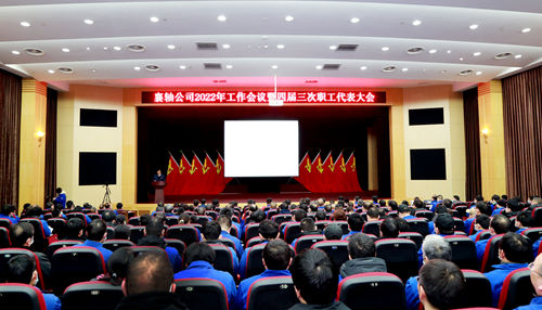 3X8A9308_副本.jpg